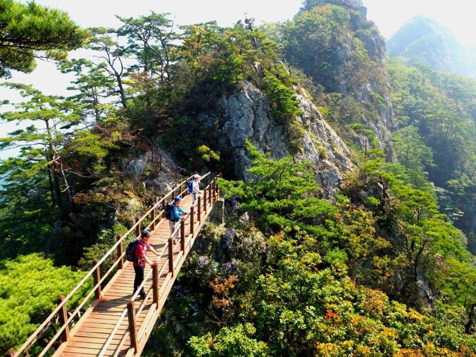 Chamjoeun Pension Chech'ŏn Exterior foto